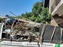 Best Garage Cleanout  in Taos Pueblo, NM